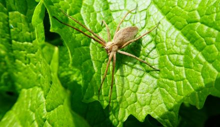 Foto: Larissa Trommer, Lizenz: Larissa Trommer