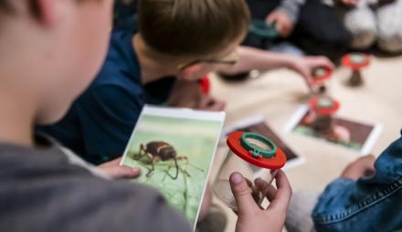 Forschen mit der Becherlupe, Foto: David Marschalsky, Lizenz: Naturkundemuseum Potsdam