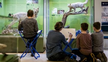 Kreativ werden vor Wildkatze und Luchs, Foto: David Marschalsky, Lizenz: Naturkundemuseum Potsdam
