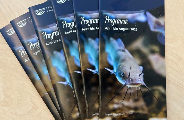 Programmheft April bis August 2025