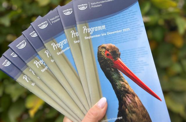 Programmheft September bis Dezember 2025 Programmheft September bis Dezember 2025