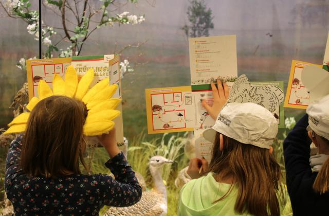 „Erlebter Frühling‘‘ mit Museumsrallye (© Naturkundemuseum Potsdam