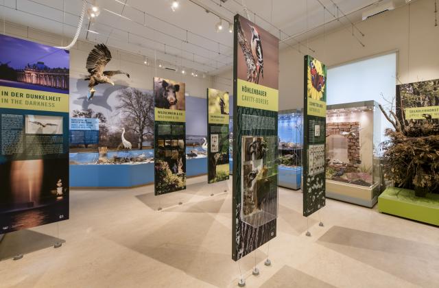 Hier sieht man eine Übersicht von unserer Sammlung „Tierisches Leben im UNESCO-Welterbe“.