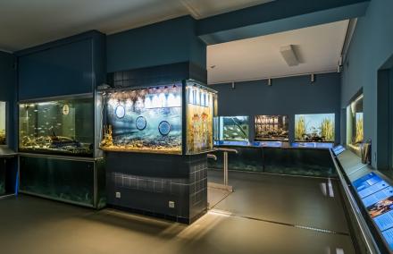 Blick in unser neues Aquarium. Blick in unser neues Aquarium.