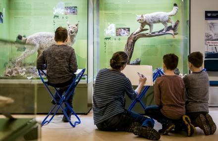 Kinder und Kursleiterin Katrin Neubert vor Luchs und Wildkatze. Kinder und Kursleiterin Katrin Neubert vor Luchs und Wildkatze.