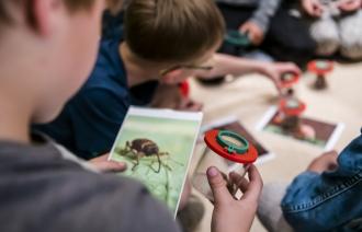 Juniorforscher mit Becherlupe in der Hand
