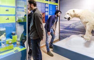 Eine Gruppe Erwachsene bei einer Führung im Museum.