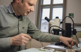 Sammlungs- und Ausstellungskonservator Dr. Dirk Berger