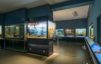 Blick in das neue Aquarium.
