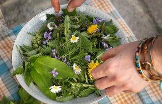 Foto: Claudia Zesche-Göpfert, Lizenz: Herbal Hunter