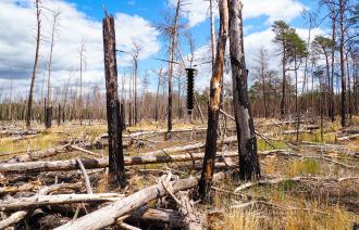 Foto: H. Hartong, Lizenz: H. Hartong