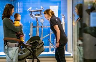 Auch Babys können viel Spannendes im Museum entdecken., Foto: D. Marschalsky, Lizenz: Naturkundemuseum Potsdam