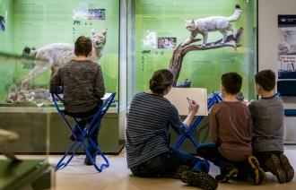 Kreativ werden vor Wildkatze und Luchs, Foto: David Marschalsky, Lizenz: Naturkundemuseum Potsdam