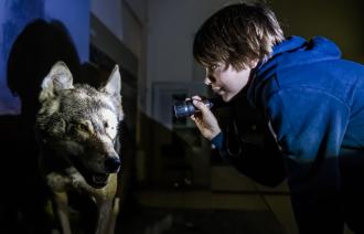 Hallo Wolf - nachts im Museum mit der Taschenlampe, Foto: D. Marschalsky, Lizenz: Naturkundemuseum Potsdam