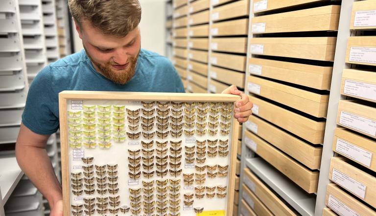 Robin Richter mit Insektenkasten aus der Sammlung KurtGericke