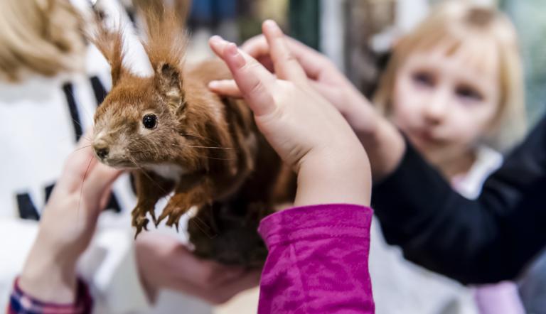Hier sieht man Kinder die ein präpariertes Eichhörnchen streicheln.