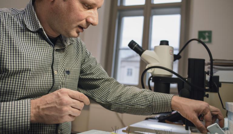 Sammlungs- und Ausstellungskonservator Dr. Dirk Berger