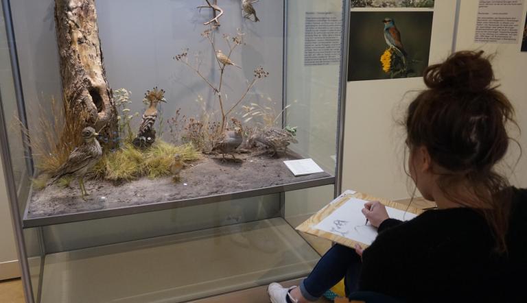 Kunstkurse für Kinder und Erwachsene im Museum. (© Naturkundemuseum Potsdam Kunstkurse für Kinder und Erwachsene im Museum. (© Naturkundemuseum Potsdam