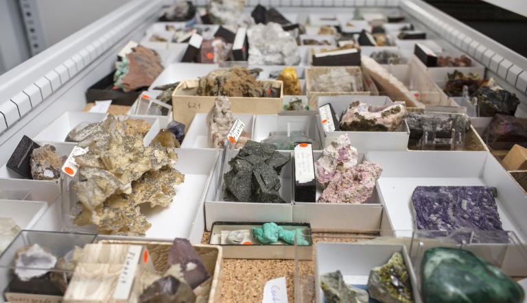 Einblick in die Fossilien- und Mineraliensammlung (© Naturkundemuseum Potsdam