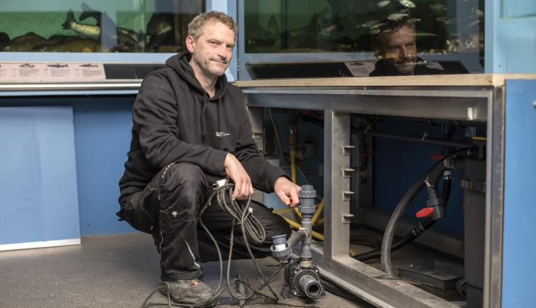 Jens Gerlach kümmert sich auch um die Aquarientechnik
