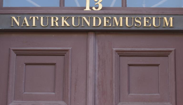 Eingangstür ins Museum. Die braune Eingangstür des Naturkundemuseum Potsdams.