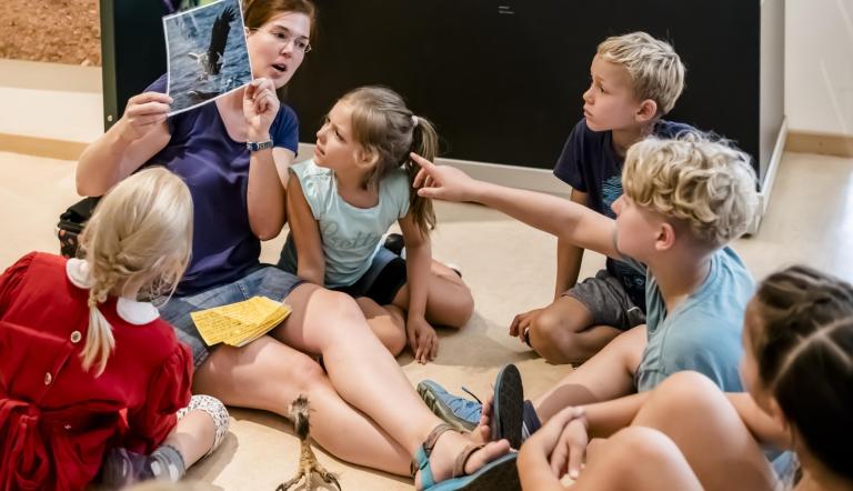 Am Kindertag über unsere Umwelt und mutige Tierkinder staunen (© Naturkundemuseum Potsdam/