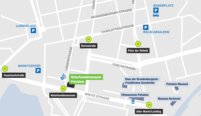 Lageplan des Naturkundemuseums Potsdam ( Karte © OpenStreetMap-Mitwirkende Lageplan des Naturkundemuseums Potsdam ( Karte © OpenStreetMap-Mitwirkende