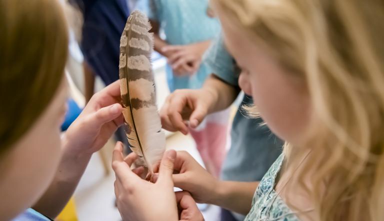 Besonderheiten von Schleiereulenfedern ertasten (© Naturkundemuseum Potsdam/
