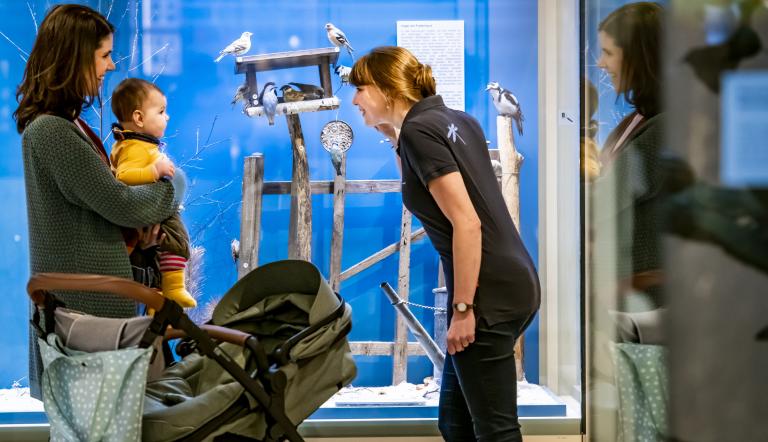 Auch Babys können viel Spannendes im Museum entdecken., Foto: D. Marschalsky, Lizenz: Naturkundemuseum Potsdam