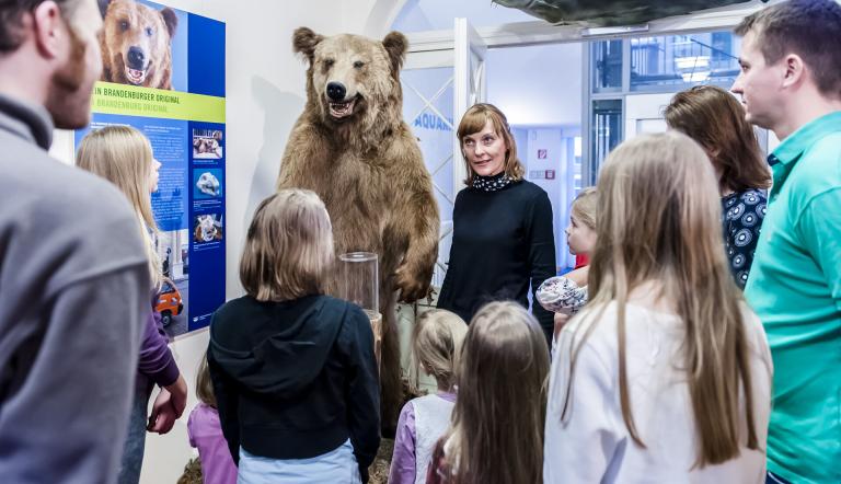 Museumsgäste vor Braunbär Tapsi, Foto: D. Marschalsky, Lizenz: Naturkundemuseum Potsdam
