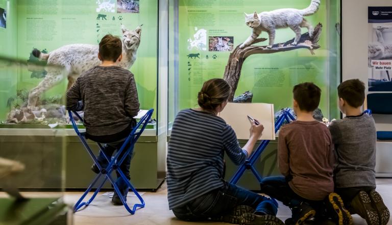 Kreativ werden vor Wildkatze und Luchs, Foto: David Marschalsky, Lizenz: Naturkundemuseum Potsdam