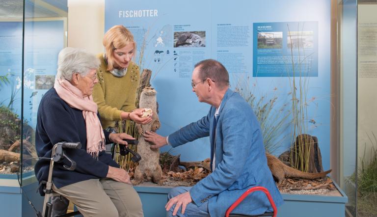 Wie und wo lebt eigentlich der Fischotter?, Foto: N. Quenzel, Lizenz: TMB-Fotoarchiv