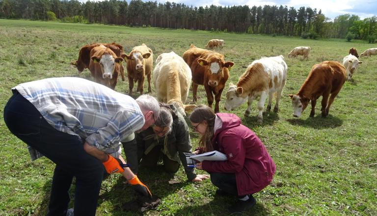 Landwirt und Wissenschaftler bei einer ersten Bestandsaufnahme, Foto: K. Geißler, Lizenz: K. Geißler
