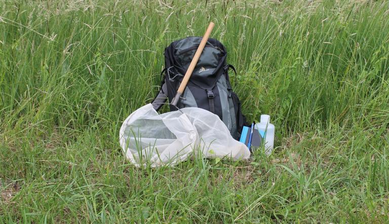 Entomologen-Rucksack im natürlichen Habitat, Foto: R. Klatt, Lizenz: R. Klatt