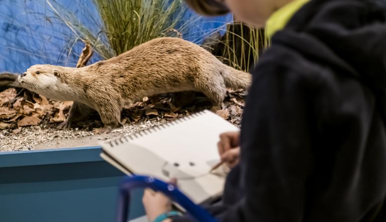 Tieren künstlerisch nahe kommen im Naturkundemuseum Potsdam, Foto: D. Marschalsky, Lizenz: Naturkundemuseum Potsdam