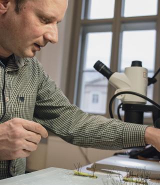 Sammlungs- und Ausstellungskonservator Dr. Dirk Berger