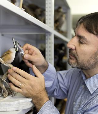 Wissenschaftler Dr. Javier Gonzalez